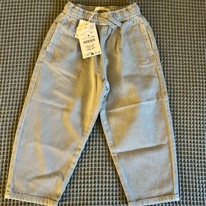 Zara Casual Gray Pants